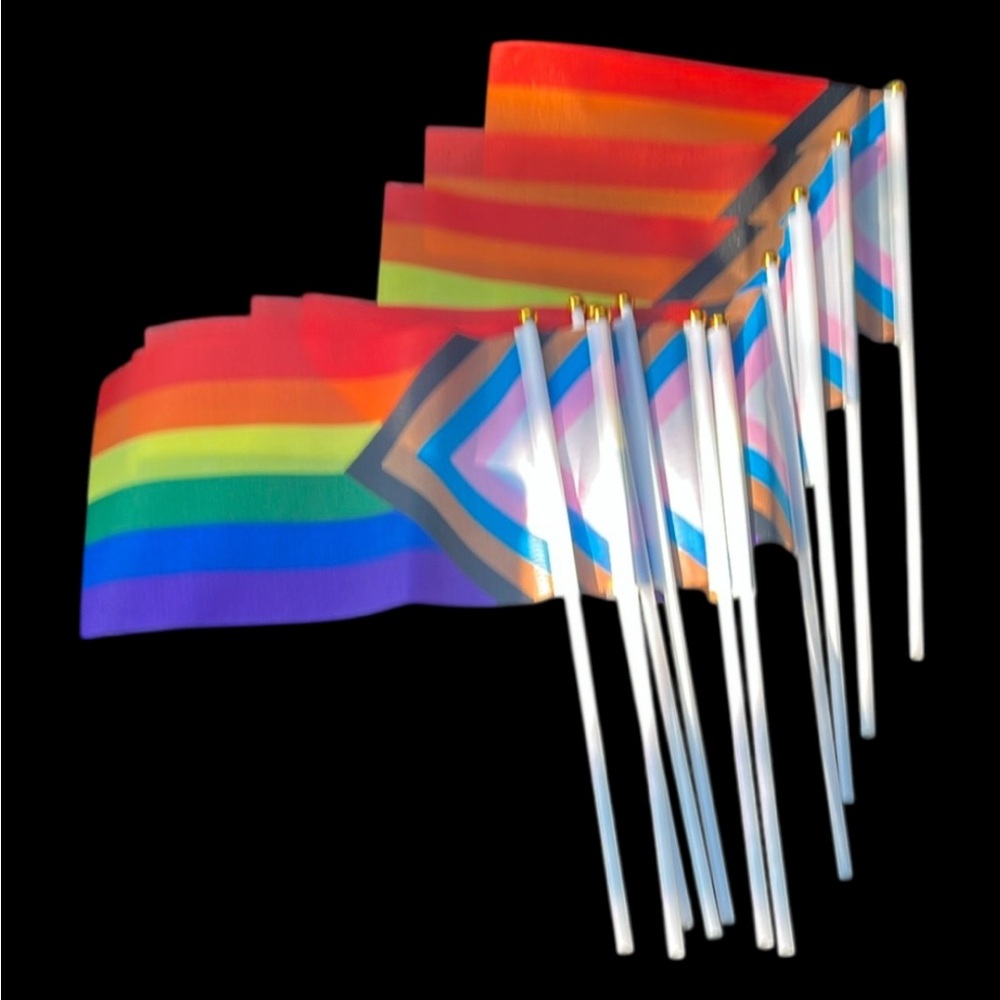 Rainbow Pride Flags Set (10) Pc